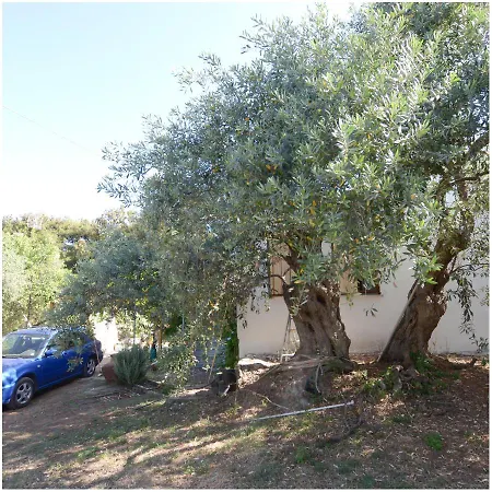 Holiday home το σπίτι με το πηγάδι - Wellcottage Thassos *